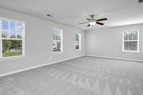 409 Crawley Lane Chapin SC 29036