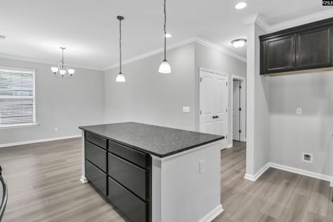 409 Crawley Lane Chapin SC 29036