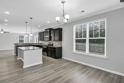 409 Crawley Lane Chapin SC 29036