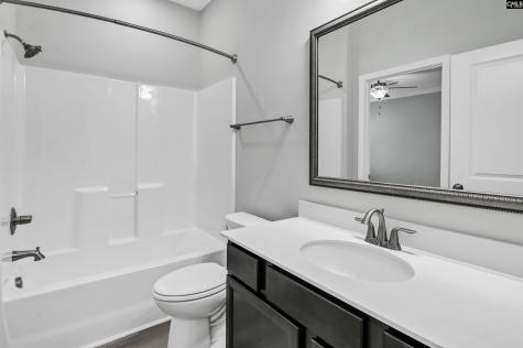 409 Crawley Lane Chapin SC 29036