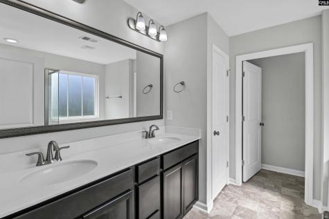 409 Crawley Lane Chapin SC 29036