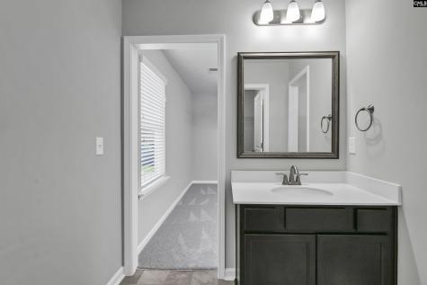 409 Crawley Lane Chapin SC 29036