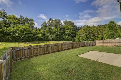 409 Crawley Lane Chapin SC 29036