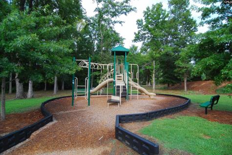 409 Crawley Lane Chapin SC 29036