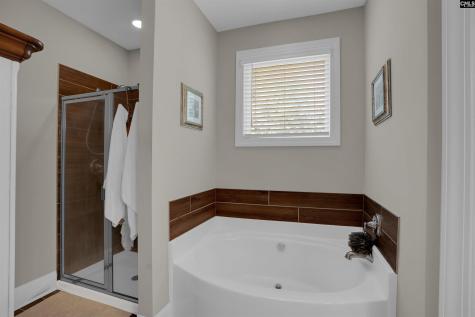 238 Hilton View Court Chapin SC 29036-7664