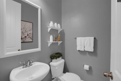 238 Hilton View Court Chapin SC 29036-7664