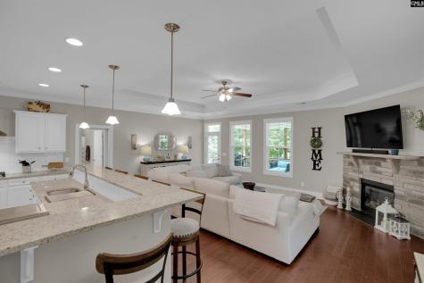 238 Hilton View Court Chapin SC 29036-7664