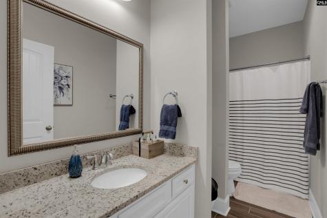 238 Hilton View Court Chapin SC 29036-7664