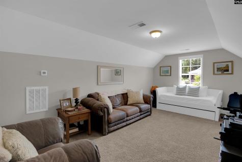 238 Hilton View Court Chapin SC 29036-7664