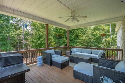 238 Hilton View Court Chapin SC 29036-7664