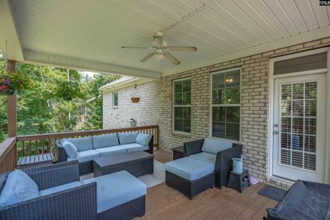 238 Hilton View Court Chapin SC 29036-7664
