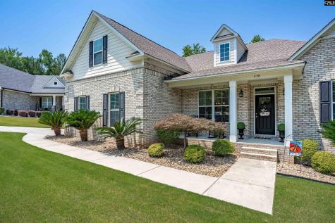 238 Hilton View Court Chapin SC 29036-7664