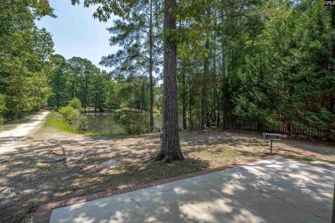 238 Hilton View Court Chapin SC 29036-7664
