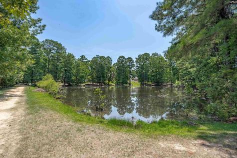 238 Hilton View Court Chapin SC 29036-7664