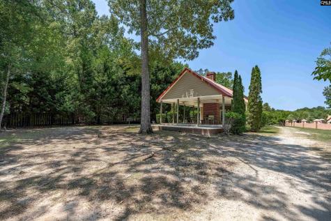 238 Hilton View Court Chapin SC 29036-7664