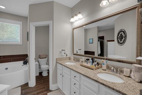 238 Hilton View Court Chapin SC 29036-7664