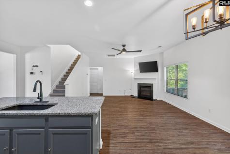 117 Village View Way Lexington SC 29072