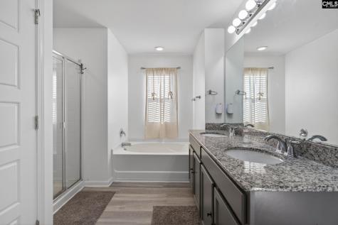 117 Village View Way Lexington SC 29072
