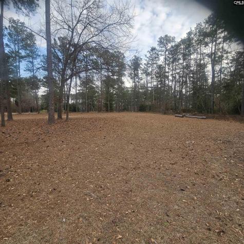 133 Tam O Shanter Drive Blythewood SC 29016