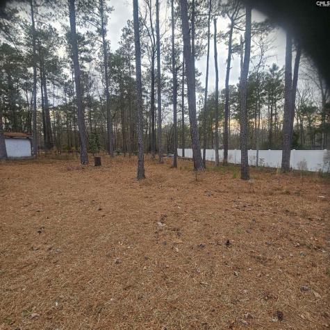 133 Tam O Shanter Drive Blythewood SC 29016