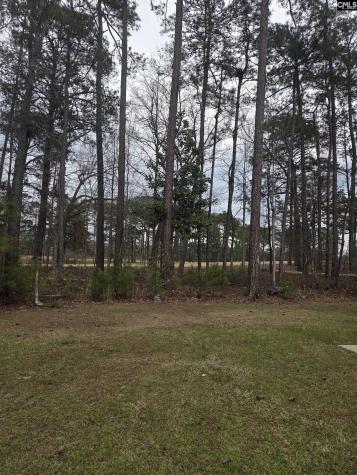 765 Club Cottage Drive Blythewood SC 29016