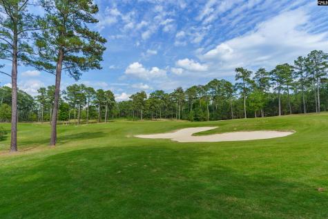 383 Summersweet Court Blythewood SC 29016