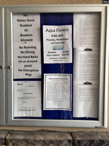 383 Summersweet Court Blythewood SC 29016