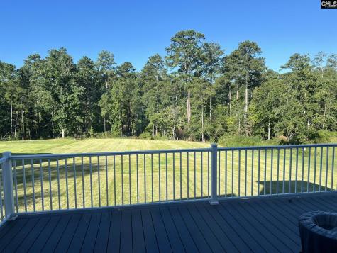 255 Osprey Pointe Lane Prosperity SC 29127