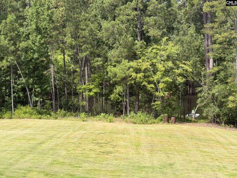 255 Osprey Pointe Lane Prosperity SC 29127