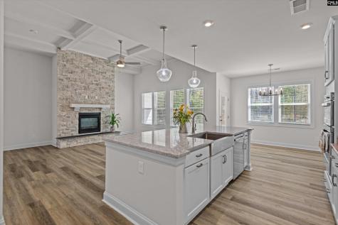 558 Wild Ginger Loop Irmo SC 29063-982
