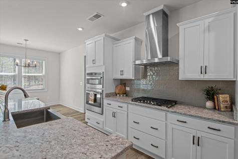558 Wild Ginger Loop Irmo SC 29063-982