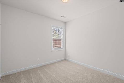 558 Wild Ginger Loop Irmo SC 29063-982