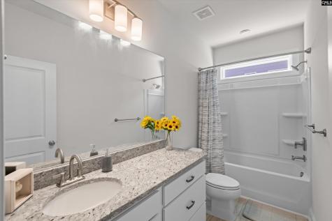 558 Wild Ginger Loop Irmo SC 29063-982
