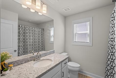 558 Wild Ginger Loop Irmo SC 29063-982