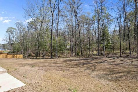 558 Wild Ginger Loop Irmo SC 29063-982