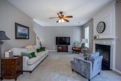 306 Water Hickory Way Columbia SC 29229-7553