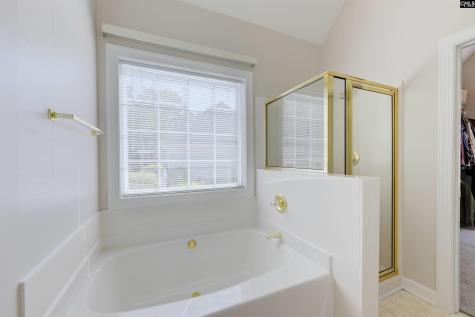14 Sagefire Court Irmo SC 29063