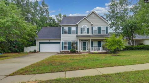 523 Whitewater Drive Irmo SC 29063