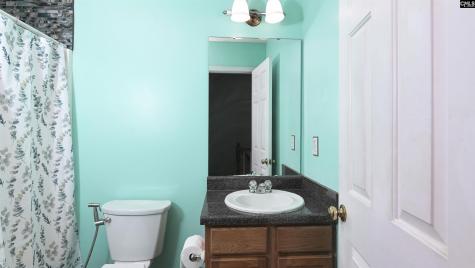 523 Whitewater Drive Irmo SC 29063