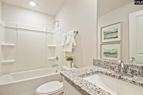 439 Lady Liberty Way Lexington SC 29073