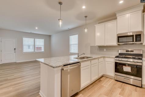 439 Lady Liberty Way Lexington SC 29073