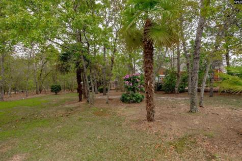 217 Longcreek Plantation Drive Blythewood SC 29016