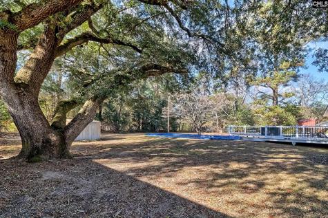 150 Timmerman Road Swansea SC 29160-8942