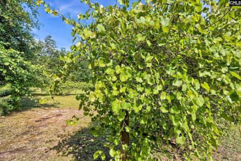 150 Timmerman Road Swansea SC 29160-8942