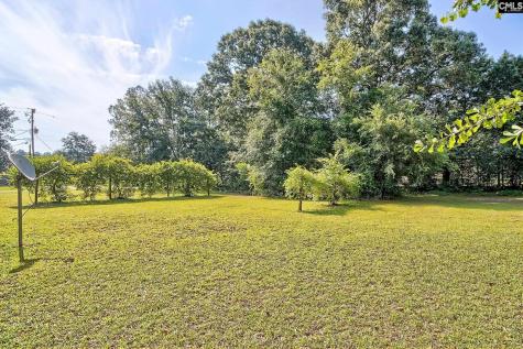 150 Timmerman Road Swansea SC 29160-8942