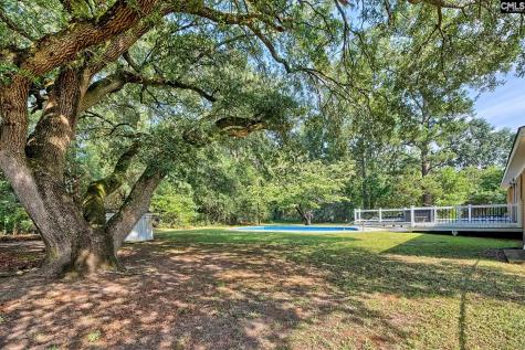 150 Timmerman Road Swansea SC 29160-8942
