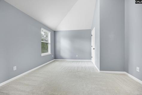 454 Hollow Cove Road Chapin SC 29036