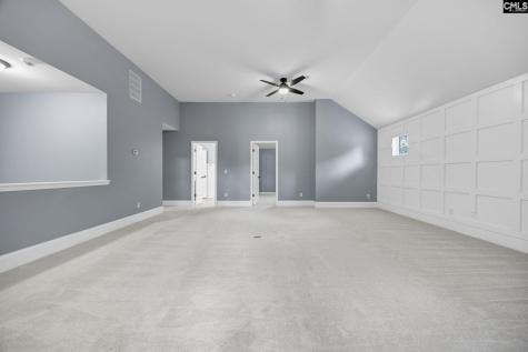 454 Hollow Cove Road Chapin SC 29036