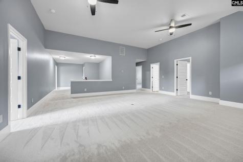 454 Hollow Cove Road Chapin SC 29036