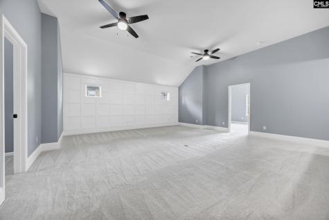 454 Hollow Cove Road Chapin SC 29036